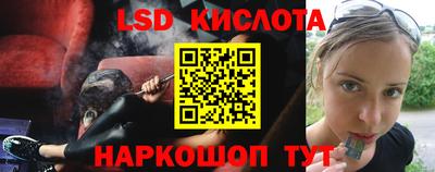 шишки Заволжье
