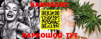 шишки Заволжье