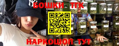 шишки Заволжье