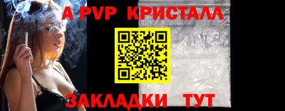 шишки Заволжье
