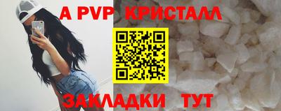 шишки Заволжье