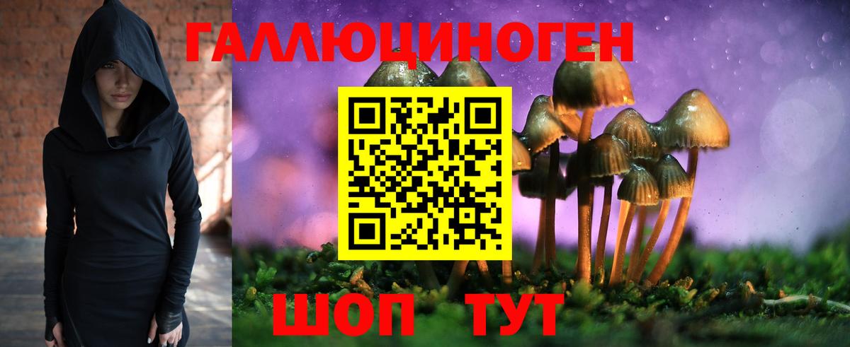 как найти закладки  Псилоцибиновые грибы GOLDEN TEACHER  Вход с VPN  Псилоцибиновые грибы мухоморы  Ишим 